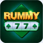 Rummy 77 App